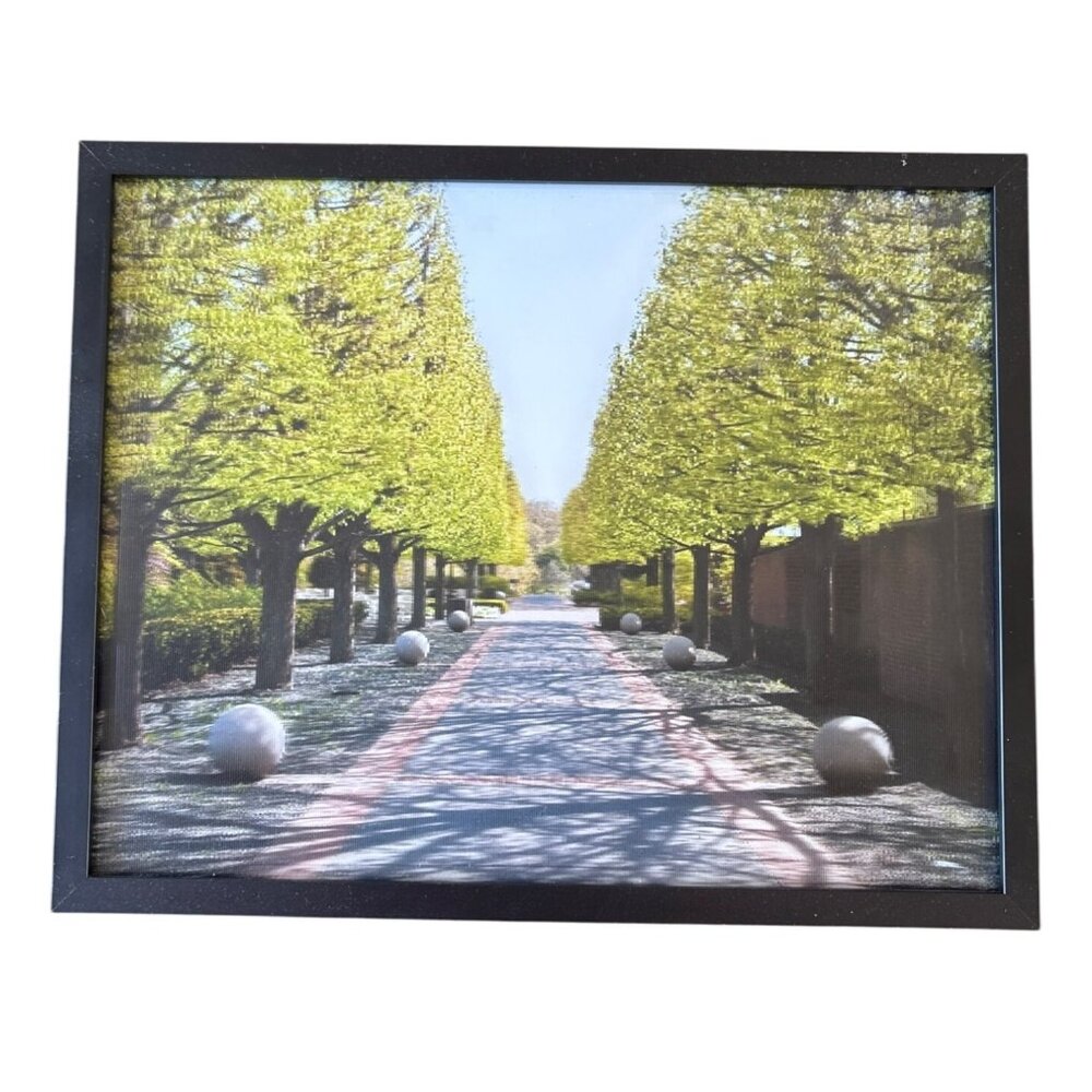 Michael J. Brown Lenticular Optical Art Pathway With Trees 8x10